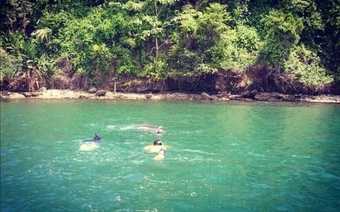 Cahuita National Park Snorkeling Tour  Costa Rica